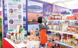 Th&aacute;i Thụy: Th&uacute;c đẩy chuyển đổi số hợp t&aacute;c x&atilde; 