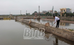 Tiền Hải: Chủ động ph&ograve;ng, chống r&eacute;t cho thủy sản