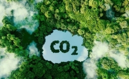 Việt Nam thu hơn 1.000 tỷ đồng từ b&aacute;n t&iacute;n chỉ carbon