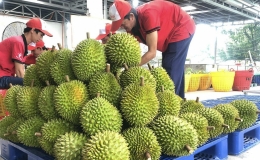 Việt Nam xuất khẩu 5,6 tỷ USD rau quả