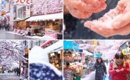 AI tạo video OpenAI Sora ch&iacute;nh thức triển khai