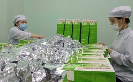 Bảo tồn, ph&aacute;t triển c&acirc;y dược liệu tr&ecirc;n địa b&agrave;n tỉnh