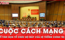 C&aacute;c vấn đề chung về tinh gọn tổ chức bộ m&aacute;y của hệ thống ch&iacute;nh trị