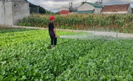 Điện Bi&ecirc;n: Đổi thay tr&ecirc;n qu&ecirc; hương x&atilde; n&ocirc;ng th&ocirc;n mới n&acirc;ng cao