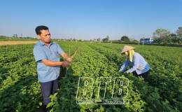 Động lực từ kinh tế n&ocirc;ng nghiệp trong ph&aacute;t triển bền vững