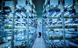 Khu nu&ocirc;i cấy m&ocirc; dược liệu qu&yacute; 1.000 m2 tại B&igrave;nh Định