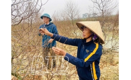 Mang m&ugrave;a xu&acirc;n đến mọi nh&agrave;