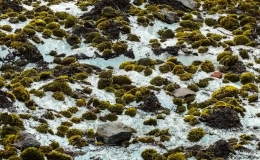 Những khối cầu r&ecirc;u b&iacute; ẩn tự di chuyển tr&ecirc;n s&ocirc;ng băng