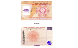 Quy định mới về mẫu giấy ph&eacute;p l&aacute;i xe &aacute;p dụng từ năm 2025 v&agrave; 2026