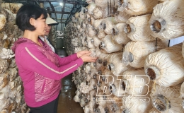 Tiền Hải: Phấn đấu 51 sản phẩm đạt OCOP 4 sao, 3 sao