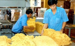 Việt Nam th&agrave;nh nước xuất khẩu cao su tự nhi&ecirc;n thứ 3 thế giới