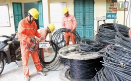 C&ocirc;ng ty Điện lực Th&aacute;i B&igrave;nh: Cung ứng điện ổn định, an to&agrave;n phục vụ Tết Nguy&ecirc;n đ&aacute;n