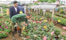 Ng&agrave;y cận Tết ở l&agrave;ng hoa Vũ Ch&iacute;nh