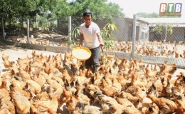 Vũ Thư: Đất chuyển m&igrave;nh