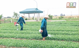 Đứng dậy để trở về