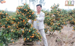 Chuyện l&agrave;m gi&agrave;u của anh Đại 