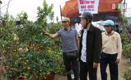 Nhộn nhịp thị trường hoa, c&acirc;y cảnh ng&agrave;y tết 