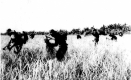 Ph&aacute;o đ&agrave;i đồng bằng