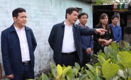 Đồng ch&iacute; B&iacute; thư Tỉnh ủy, Chủ tịch HĐND tỉnh thăm m&ocirc; h&igrave;nh sản xuất n&ocirc;ng nghiệp tại một số địa phương