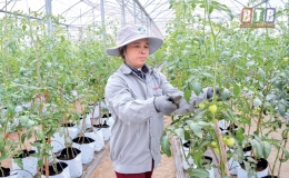 N&ocirc;ng nghiệp vượt kh&oacute;