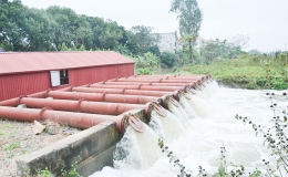 Vượt tiến độ lấy nước đổ ải đợt 1