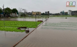 Rau m&agrave;u thiệt hại nặng do mưa lớn ng&agrave;y đầu năm
