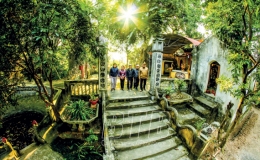 B&aacute;ch nhạn quần cư