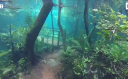 Chi&ecirc;m ngưỡng đường m&ograve;n xuy&ecirc;n rừng ch&igrave;m dưới nước như &ldquo;thủy cung&rdquo; ở Brazil