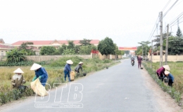 Đ&ocirc;ng Hưng x&acirc;y dựng m&ocirc;i trường xanh, sạch, đẹp