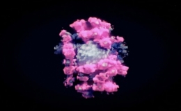 H&igrave;nh ảnh 3D đầu ti&ecirc;n của virus corona