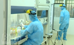 T&igrave;nh h&igrave;nh dịch Covid-19 đến ng&agrave;y 28/1