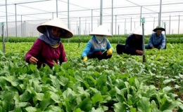 B&agrave; Rịa - Vũng T&agrave;u: Phấn đấu 100% x&atilde; đạt chuẩn n&ocirc;ng th&ocirc;n mới trong năm 2022