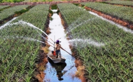 Giữ nguồn nước sạch cho cuộc sống