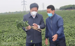 Hưng H&agrave;: Vững v&agrave;ng trong gian kh&oacute;,  tạo đ&agrave; để ph&aacute;t triển