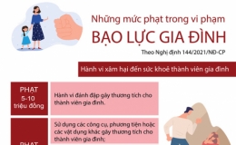 Những mức phạt trong vi phạm bạo lực gia đ&igrave;nh