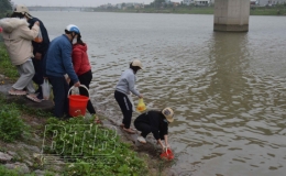 Lễ tiễn &ocirc;ng C&ocirc;ng, &ocirc;ng T&aacute;o: Giản tiện, bảo đảm ph&ograve;ng, chống dịch Covid-19 v&agrave; bảo vệ m&ocirc;i trường