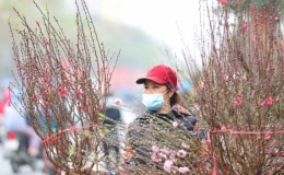 Thời tiết dịp Tết Nguy&ecirc;n đ&aacute;n Nh&acirc;m dần 2022 như thế n&agrave;o?