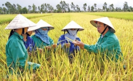 Tr&ograve; chuyện với người anh h&ugrave;ng