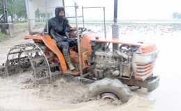 Vũ Thư: Sẵn s&agrave;ng sản xuất vụ xu&acirc;n