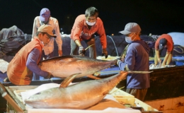 Xuất khẩu thủy sản 2021 c&aacute;n đ&iacute;ch tr&ecirc;n 8,9 tỷ USD