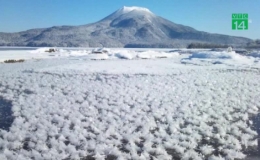 Độc đ&aacute;o mặt hồ nở hoa băng ở Nhật Bản