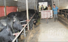 Hồng An: Ti&ecirc;u thụ n&ocirc;ng sản gặp kh&oacute;