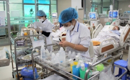 Mang m&ugrave;a xu&acirc;n đến b&ecirc;n người bệnh