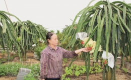 Những n&ocirc;ng d&acirc;n &ldquo;c&oacute; gan l&agrave;m gi&agrave;u&rdquo;