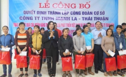  Ra mắt C&ocirc;ng đo&agrave;n cơ sở C&ocirc;ng ty TNHH Mạnh La - Th&aacute;i Thuận