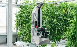 Robot thu hoạch ớt chu&ocirc;ng ở Nhật Bản