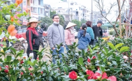 S&ocirc;i động thị trường hoa, c&acirc;y cảnh