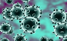 Th&ocirc;ng tin về biến thể phụ XBB của Omicron