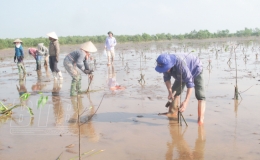 Trồng c&acirc;y m&ugrave;a xu&acirc;n