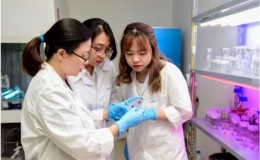 Ứng dụng c&ocirc;ng nghệ chỉnh sửa gien trong cải tạo giống c&acirc;y trồng